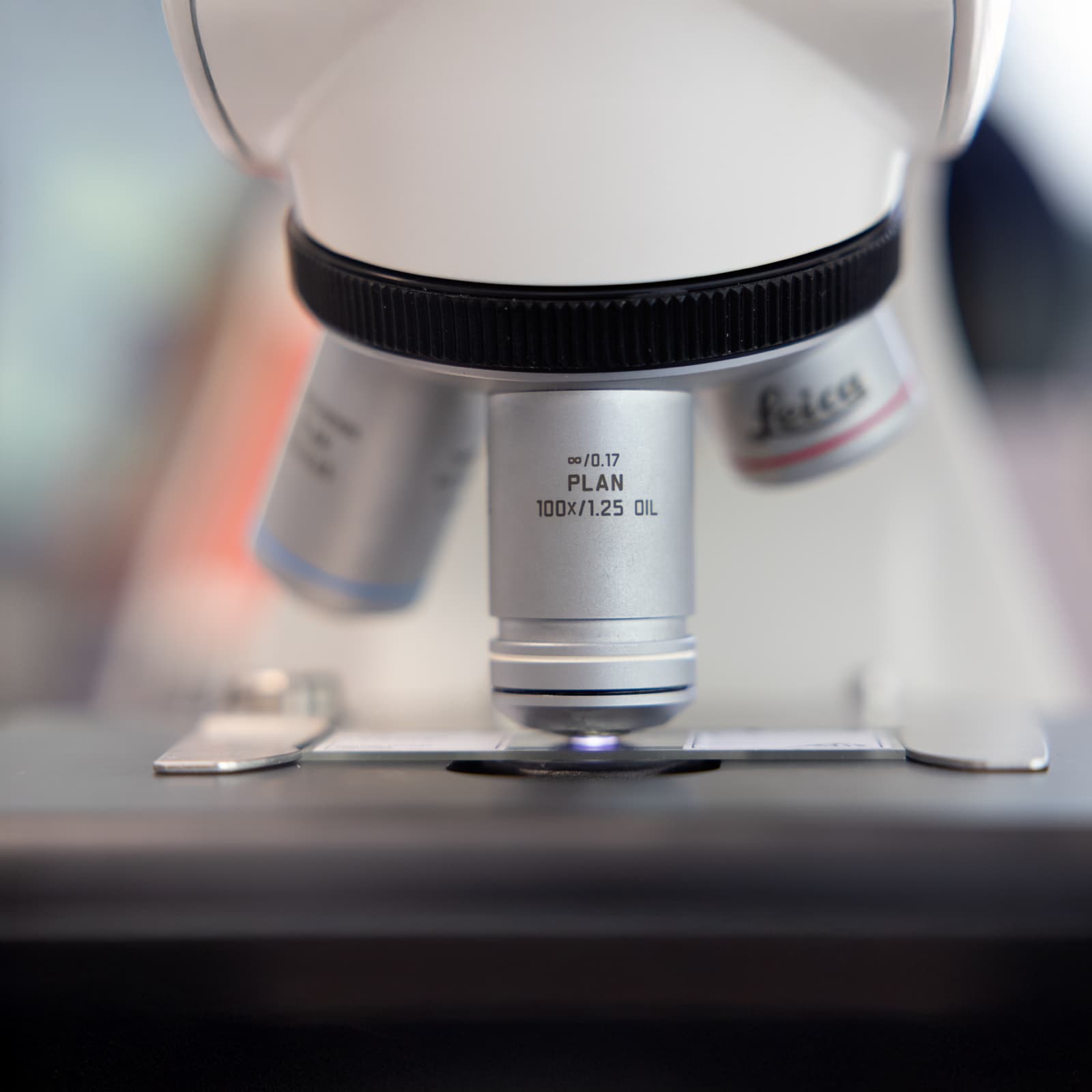 Frequently asked questions about studying medicine at UMFST-UMCH