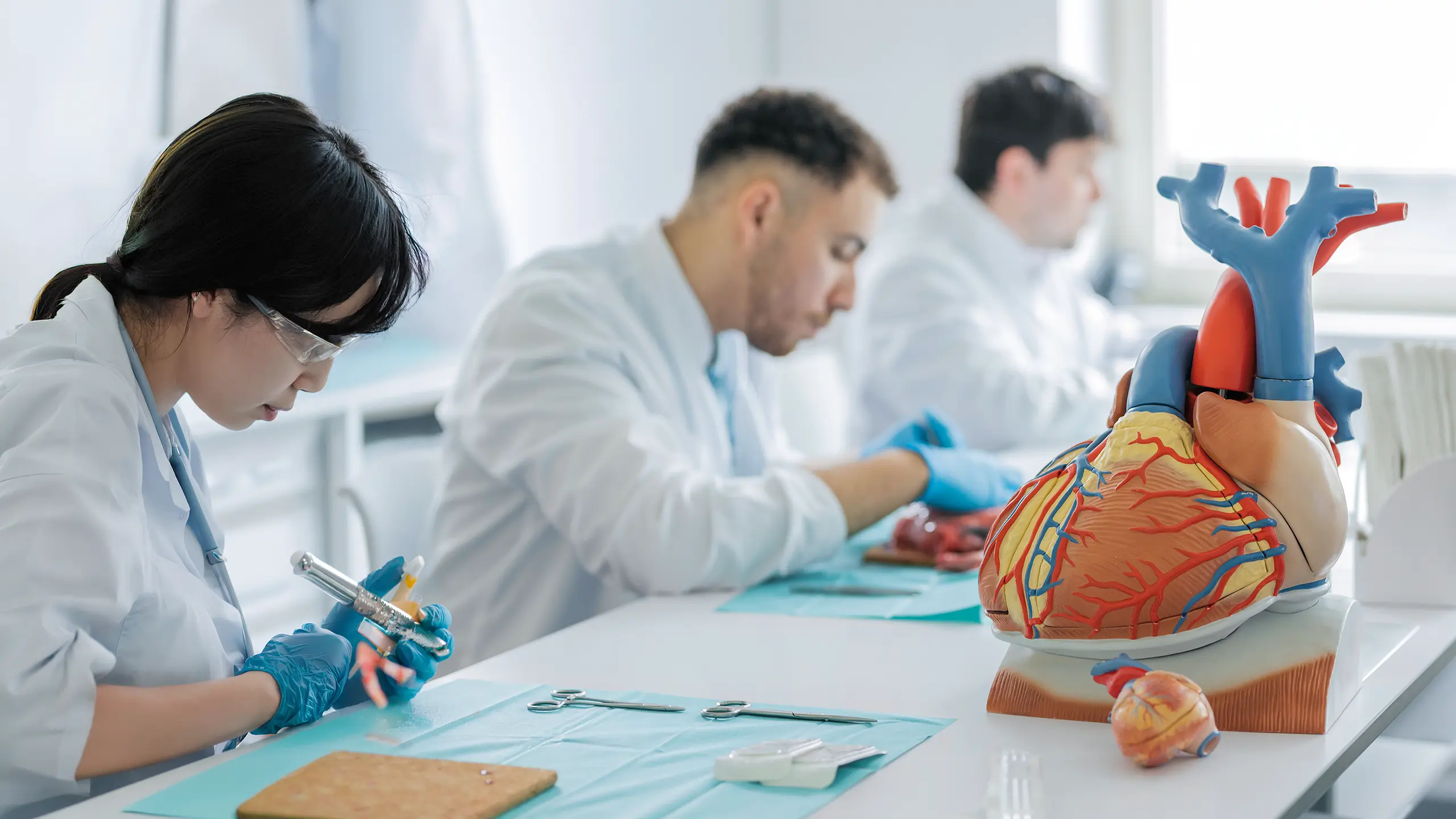 The human medicine degree programme at UMFST-UMCH in Hamburg