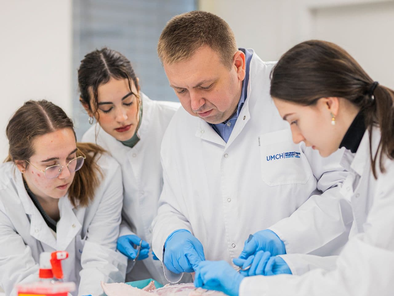 Your chance: studying medicine without starting over